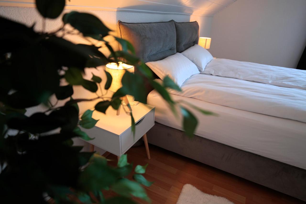 Goldhouse - Sauna, Whirlpool, Switch, Darts & Mehr Andernach Eksteriør billede